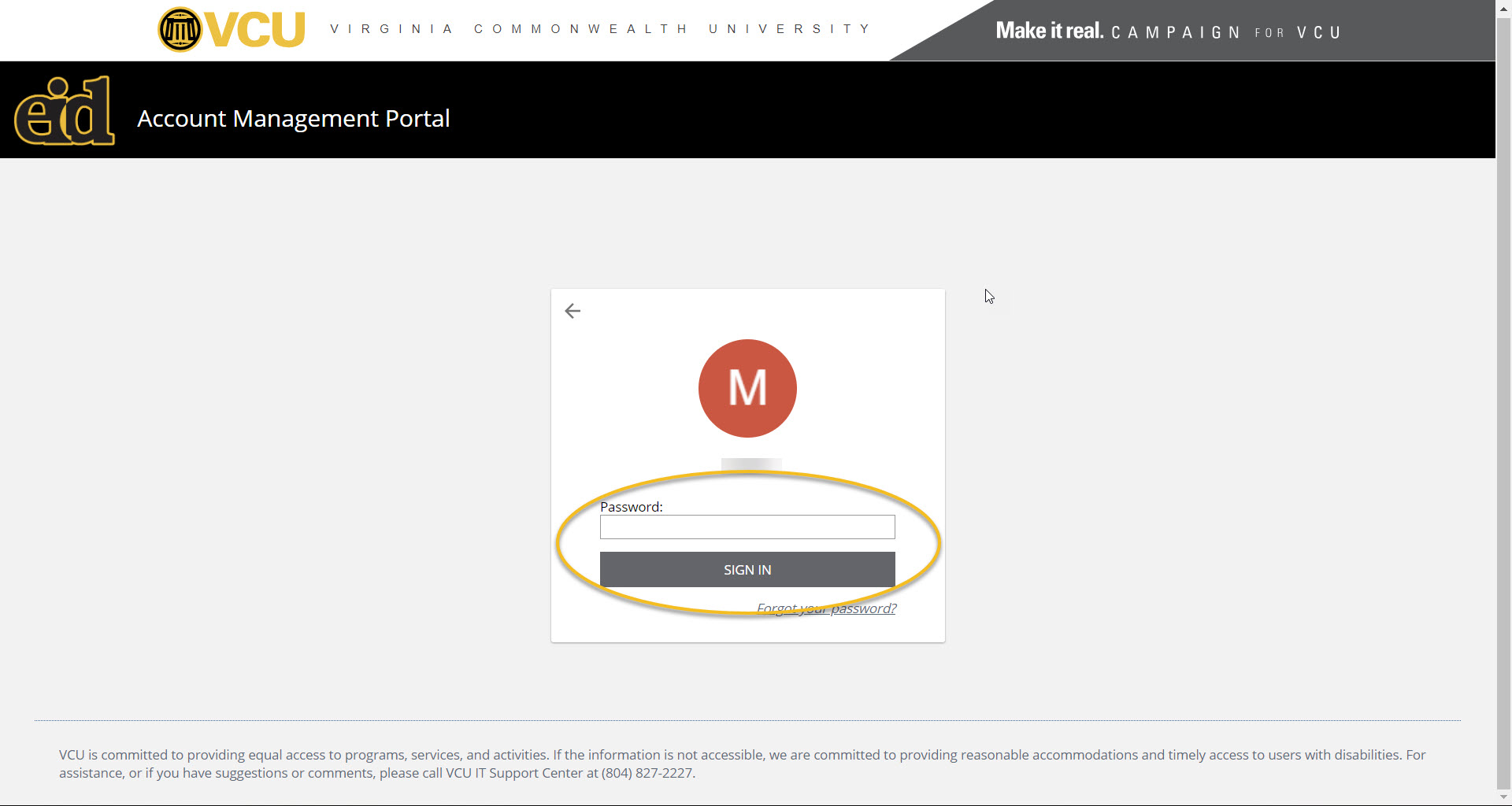 A screenshot of eID password input field