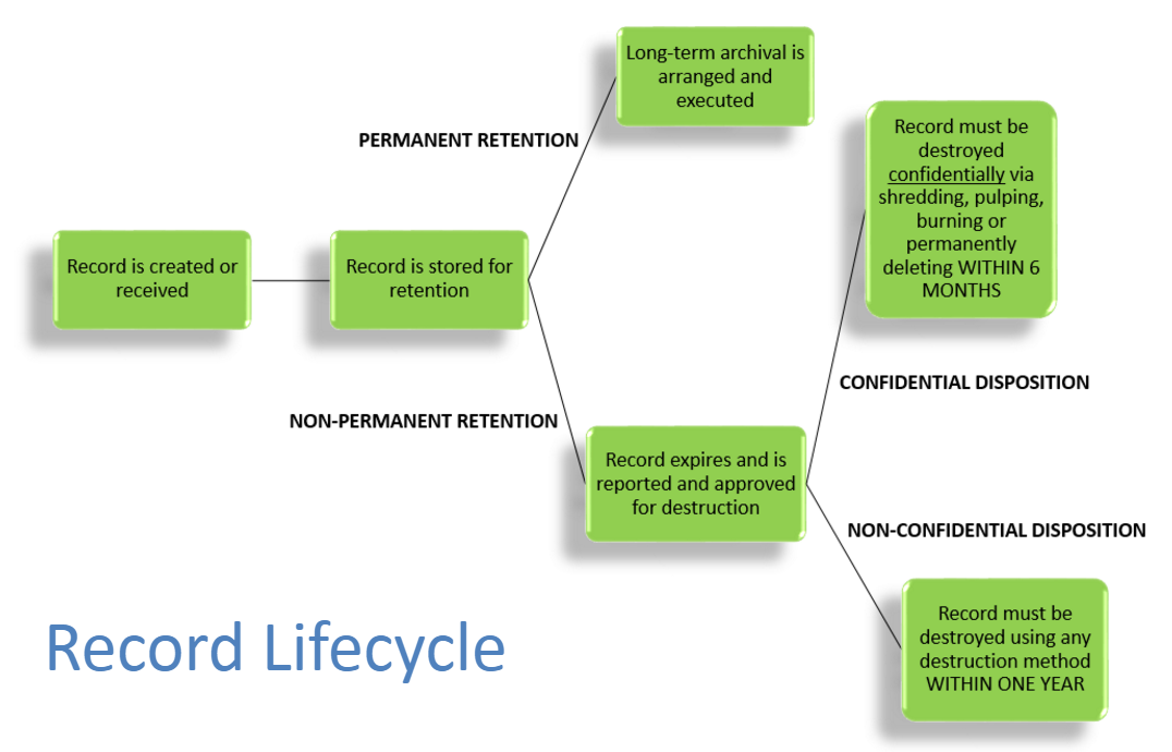Record Lifecycle SmartArt